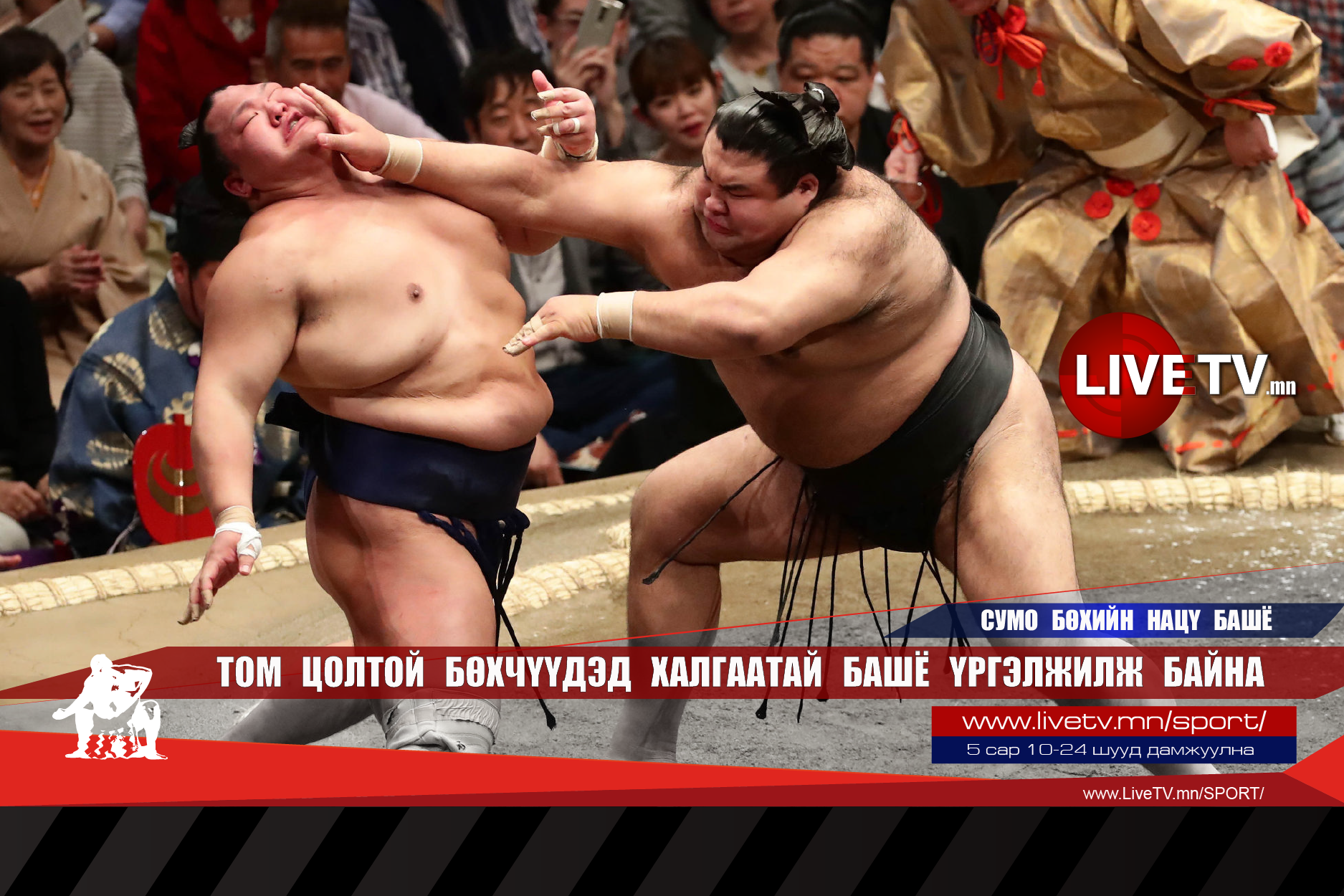 Том цолтой бөхчүүдэд халгаатай башё үргэлжилж байна