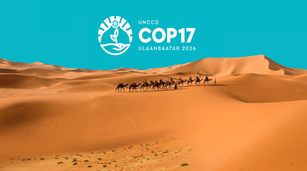 "COP17" гэж юу вэ?