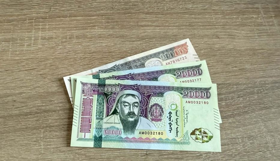 Цалинтай ээжийн тэтгэмжийг 500 мянгад хүргэх өргөдөлд санал авч эхэлжээ