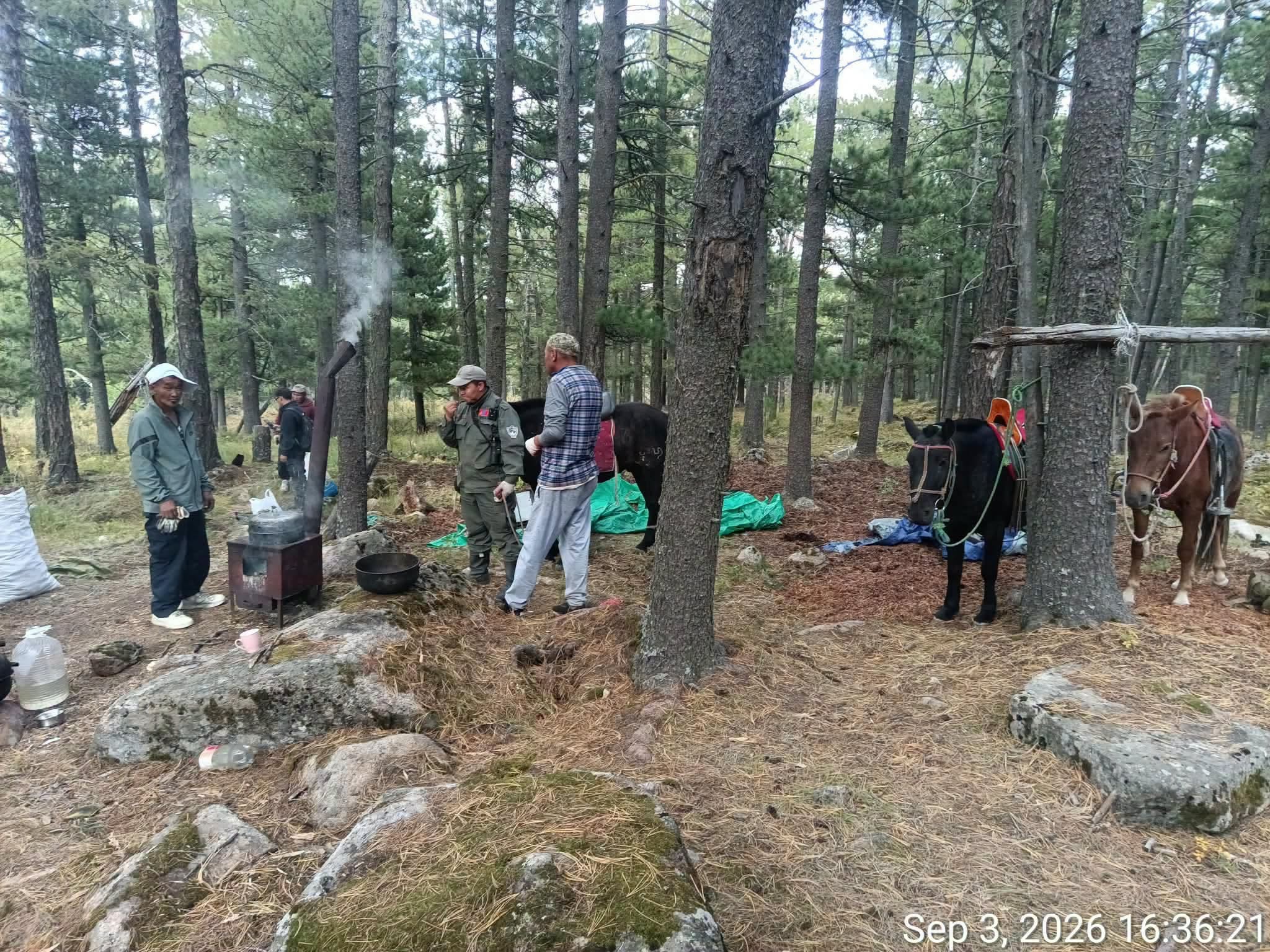 Самар түүж байсан 50 иргэнээр орчны хогийг цэвэрлүүлж, уулнаас буулгажээ
