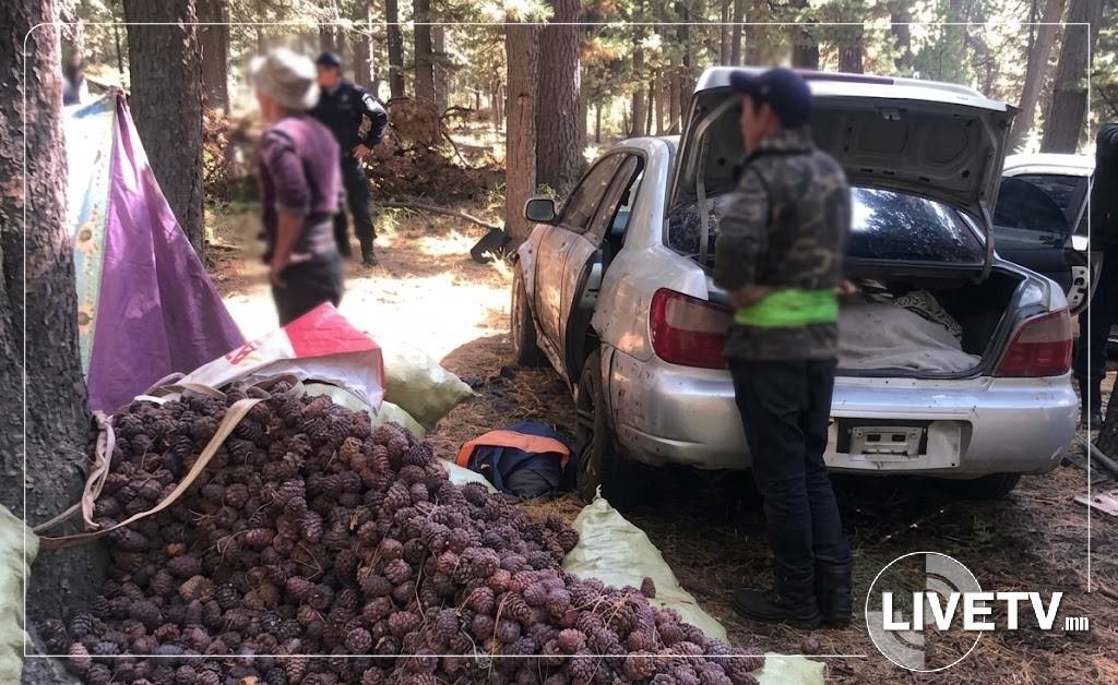Самар түүж явсан иргэдийн нэг нь түлэгдэж амиа алджээ