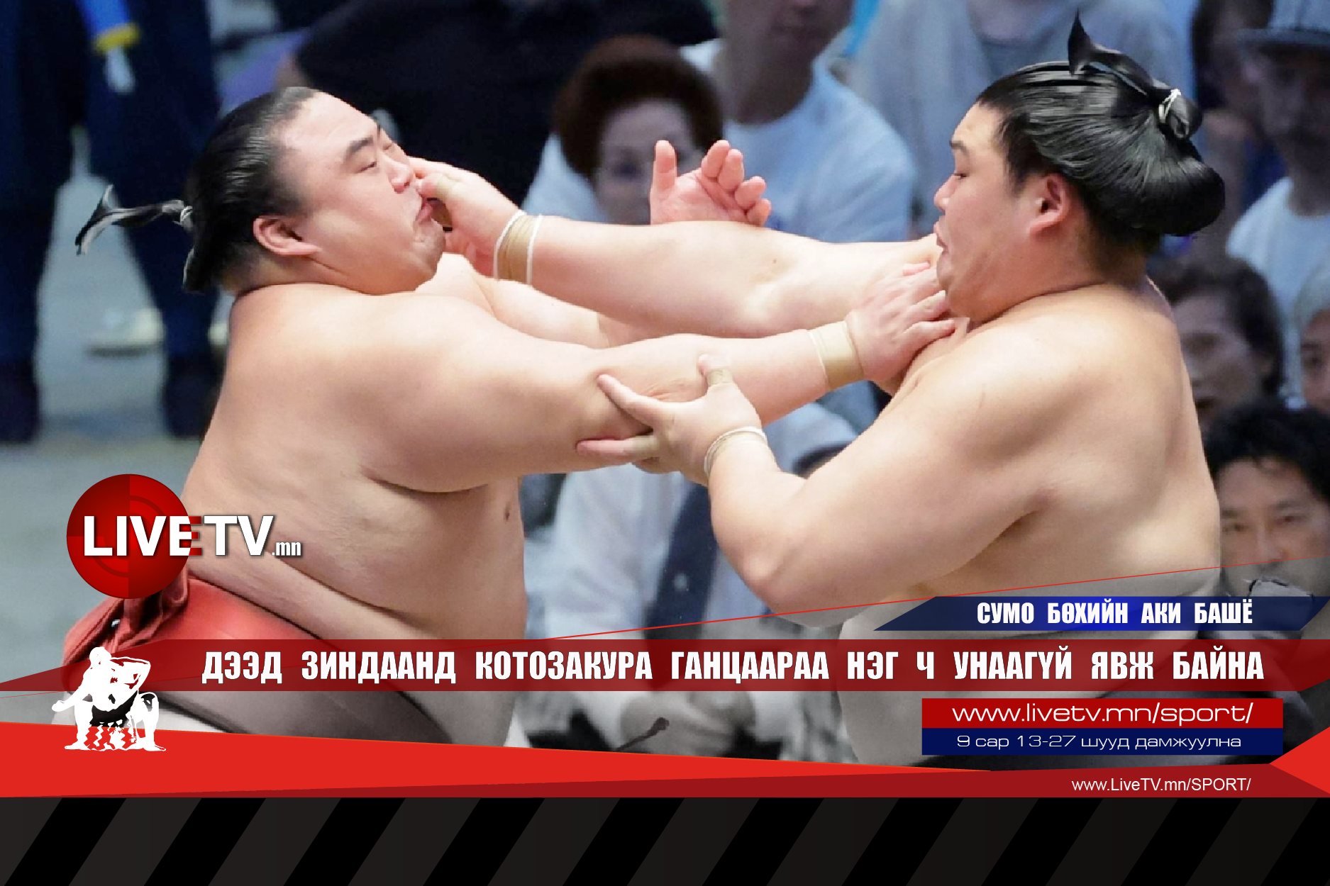 Дээд зиндаанд Котозакура ганцаараа нэг ч унаагүй явж байна