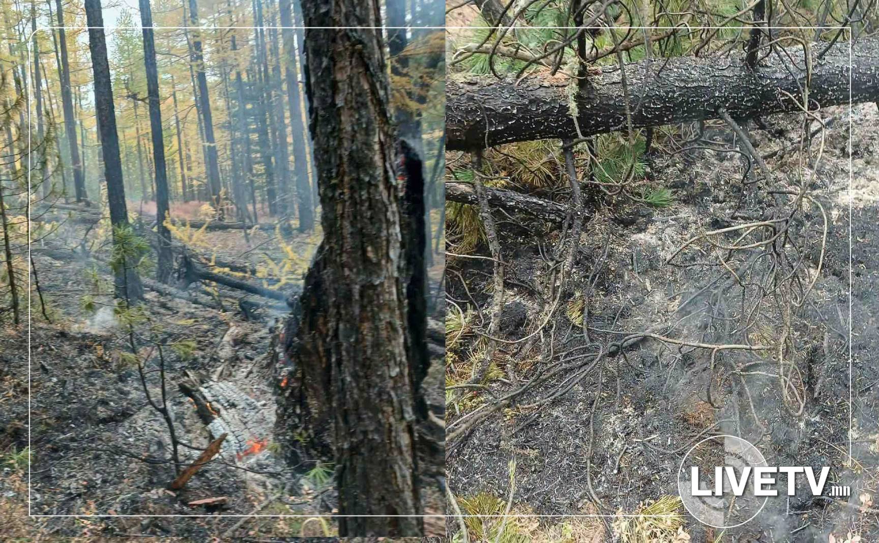 Завхан аймгийн Их-Уул суманд гарсан ойн түймэрт 1.4 га талбай шатжээ