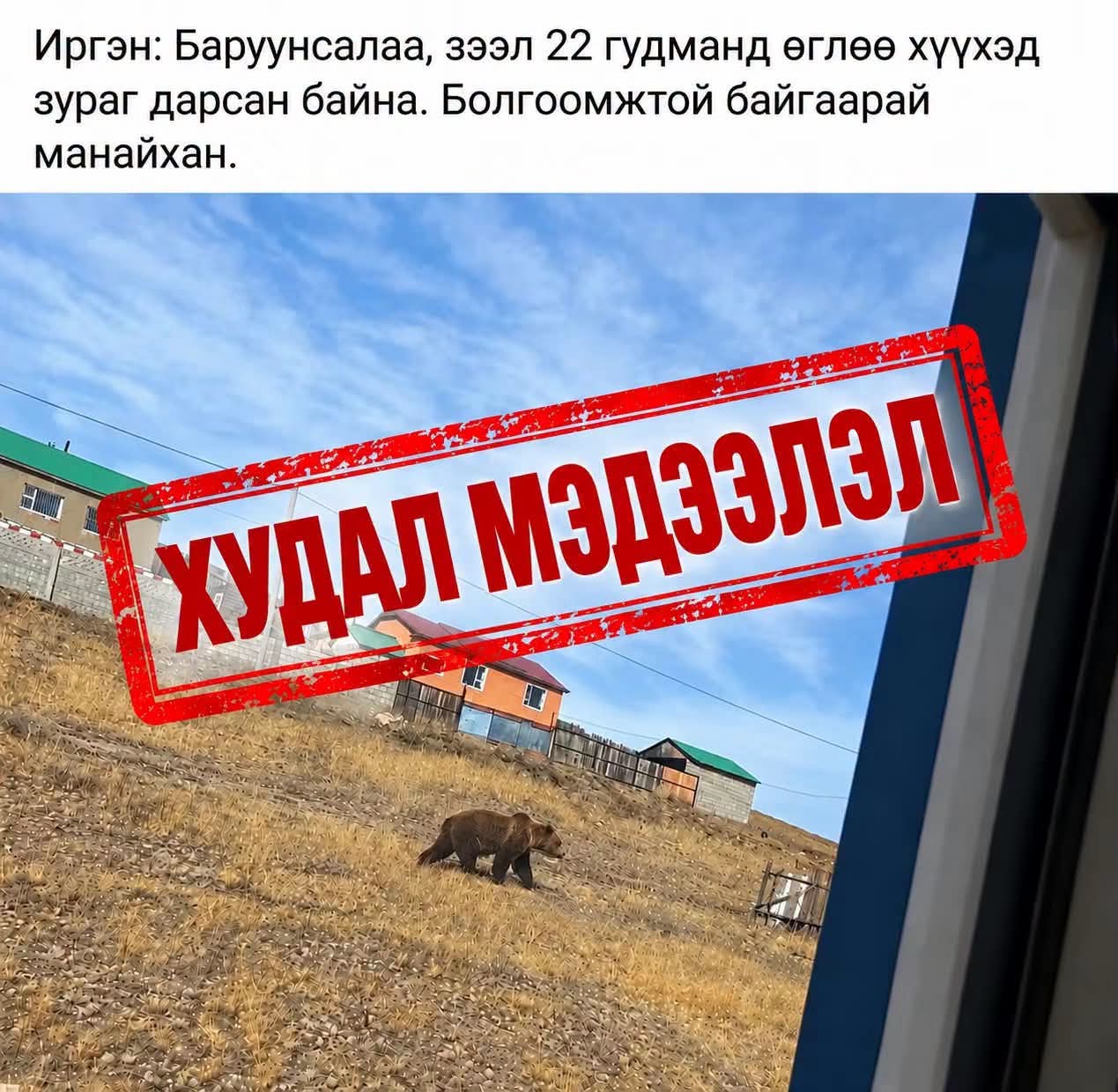 "Баавгай явж байна" гэж худал мэдээлэл тараасан иргэнийг 50 мянган төгрөгөөр торгожээ