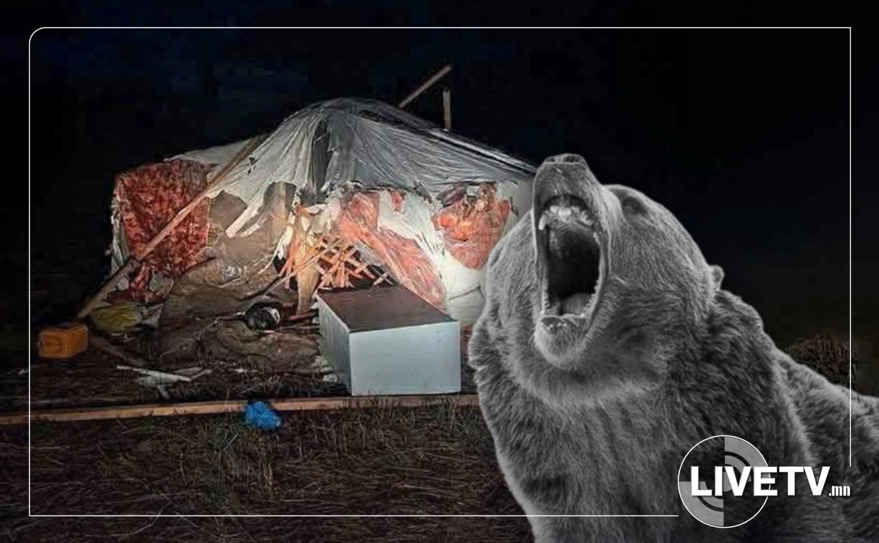 Жинлээд үзвэл хүний амь нас үнэтэй юу, баавгайн амь үнэтэй юу...