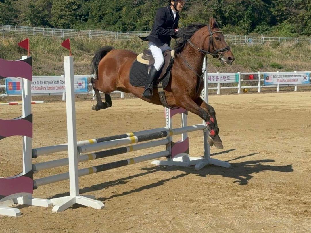 576999013 1338650027625972 6046733089685512283 N