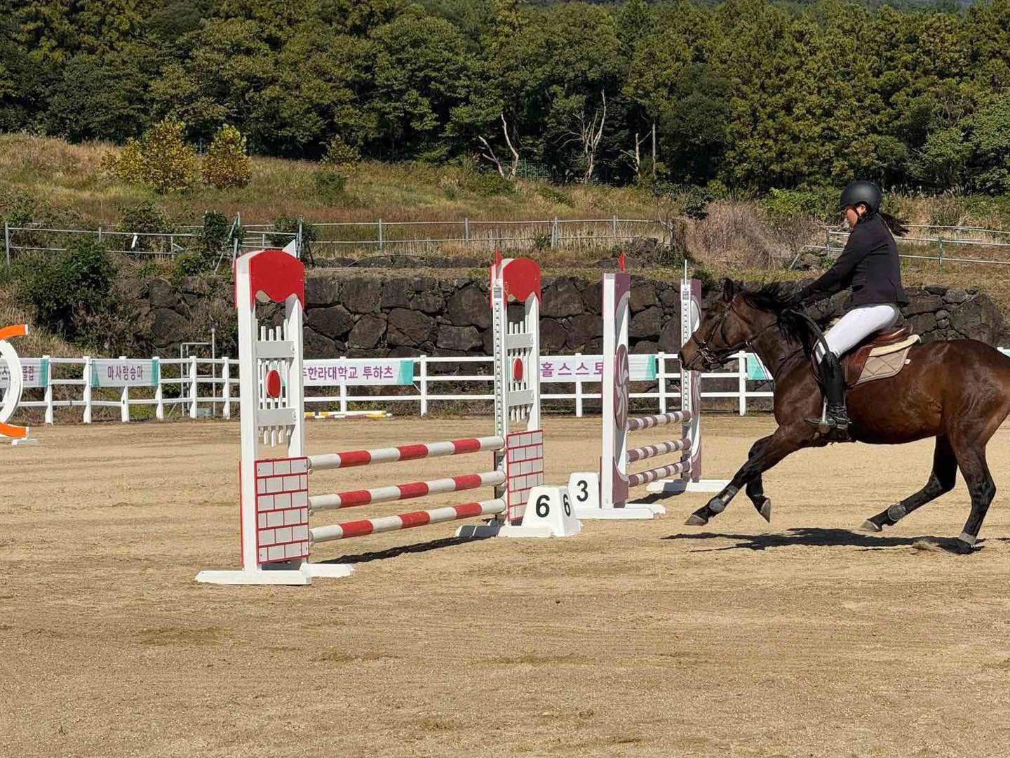 573598434 1338650040959304 5257823201828430645 N