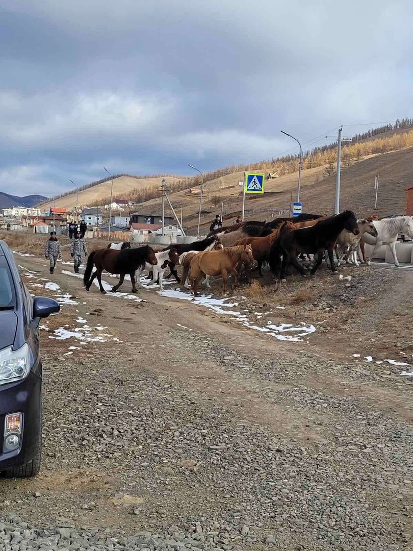 690Ab632E337Fe7967A30755