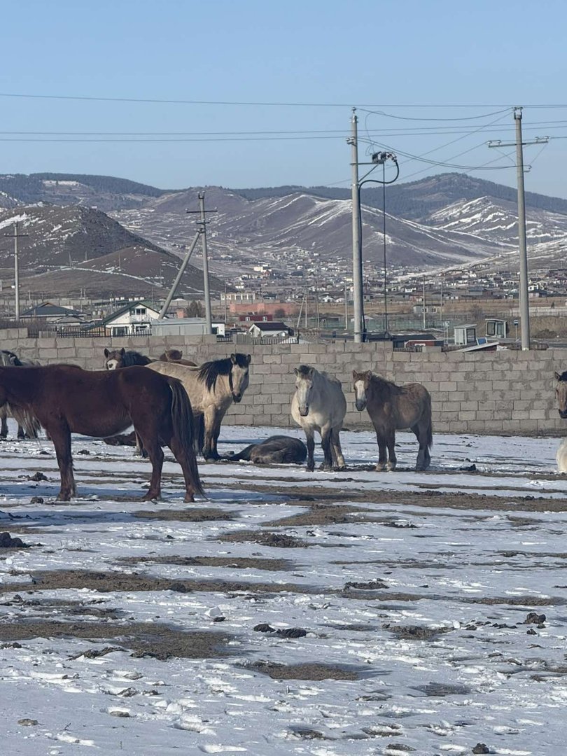 690Ab641E337Fe7967A30758