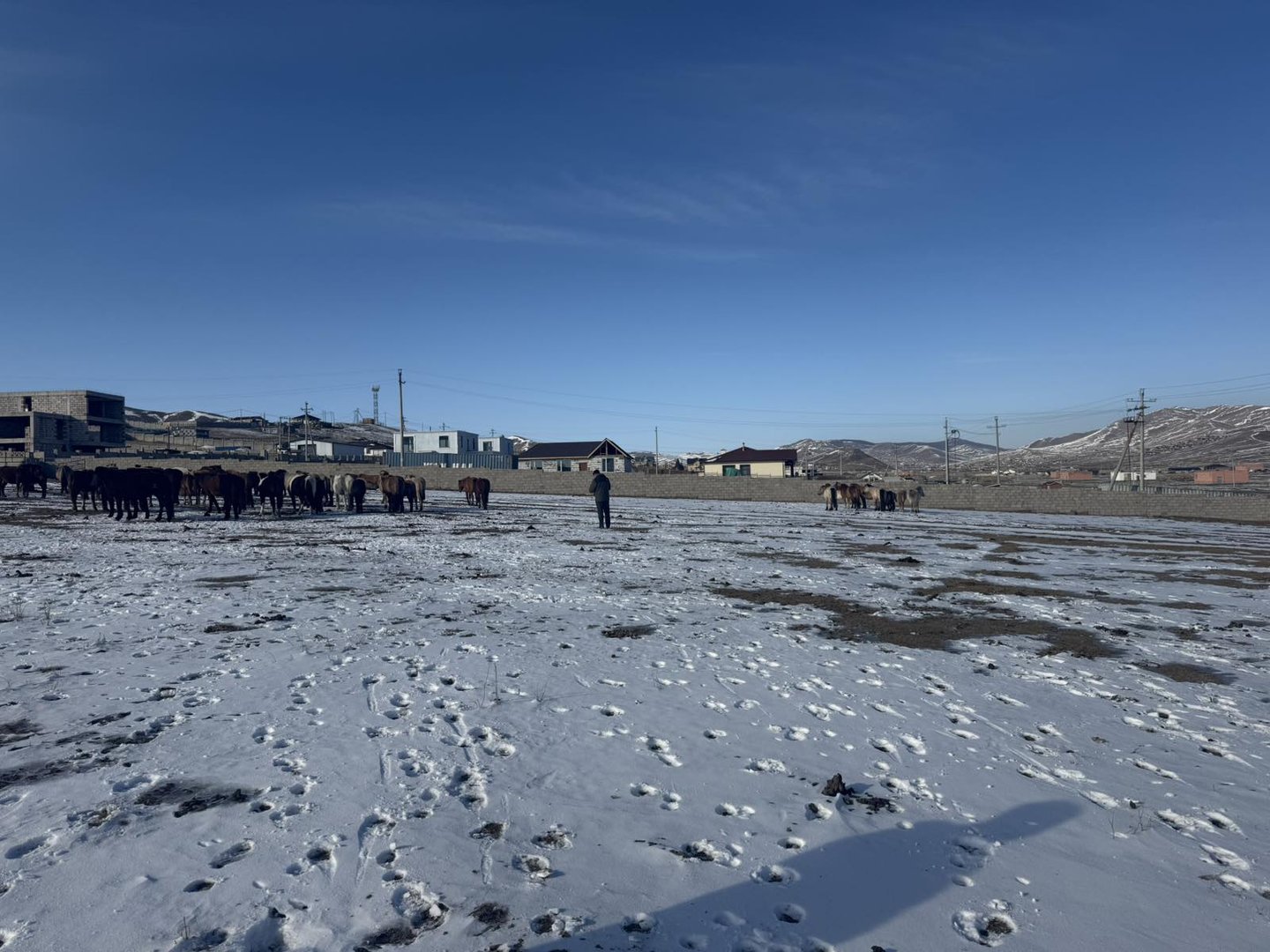 690Ab5F2E337Fe7967A30751