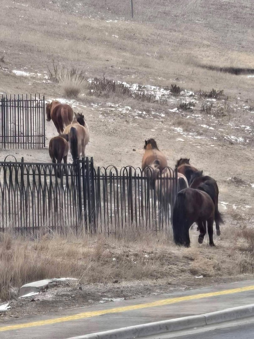 690Ab63Ce337Fe7967A30757