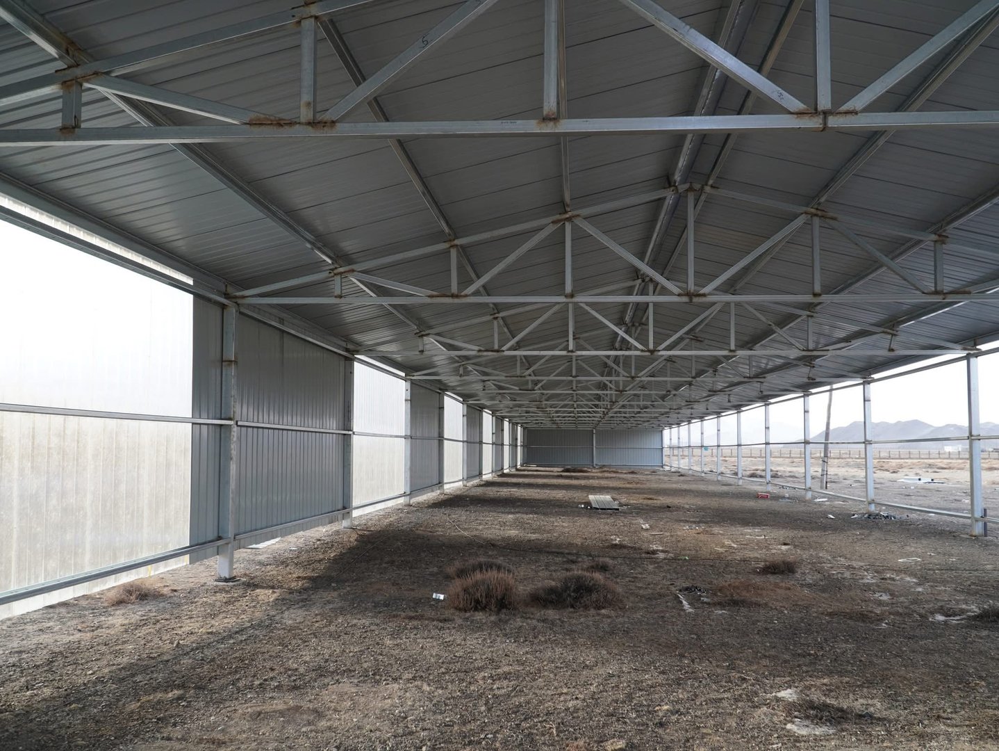 585346931 793637263704395 2368386709724430708 N