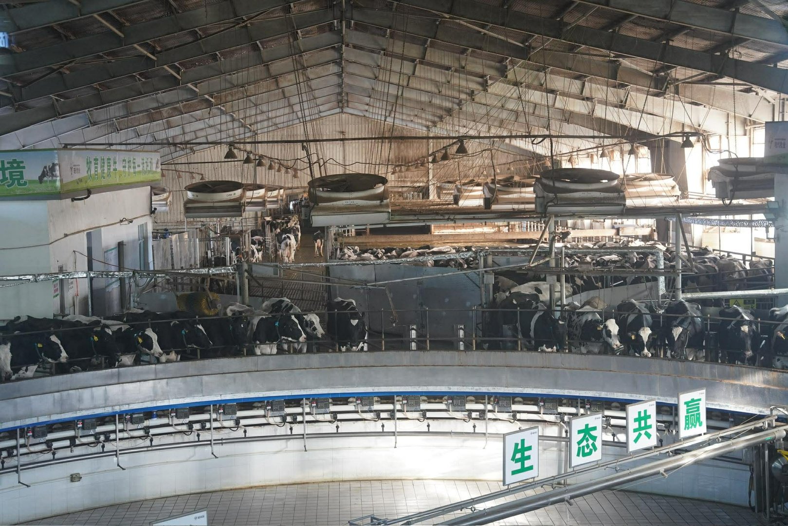 592258285 1607692610393277 2370075018034539003 N