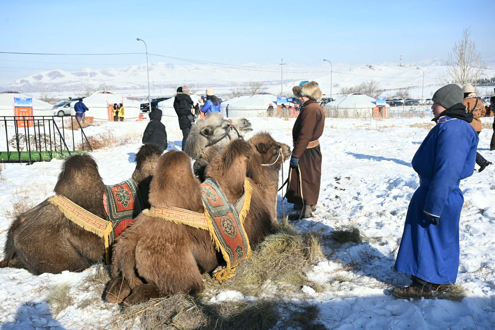 623405971 122246731676257880 8184341088524580627 N