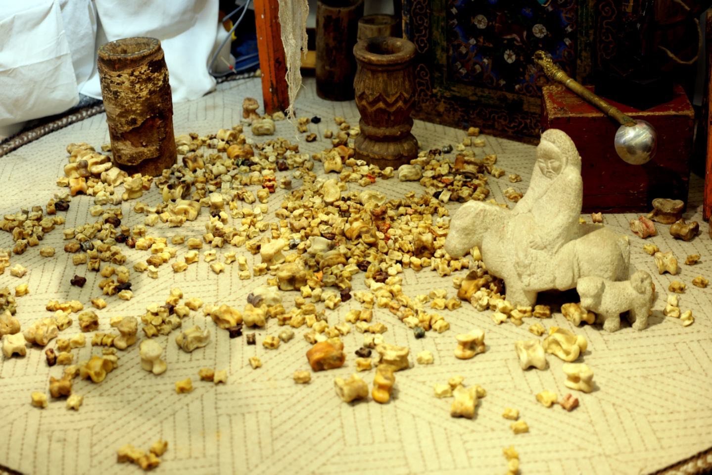 625065278 1446362883713097 8151597596101308636 N