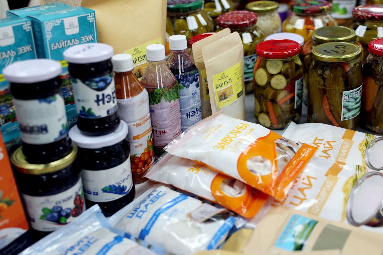 600362958 1446362770379775 6404321632898542412 N