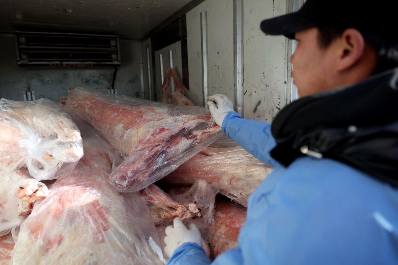 624555379 1446362850379767 3012578615447352316 N