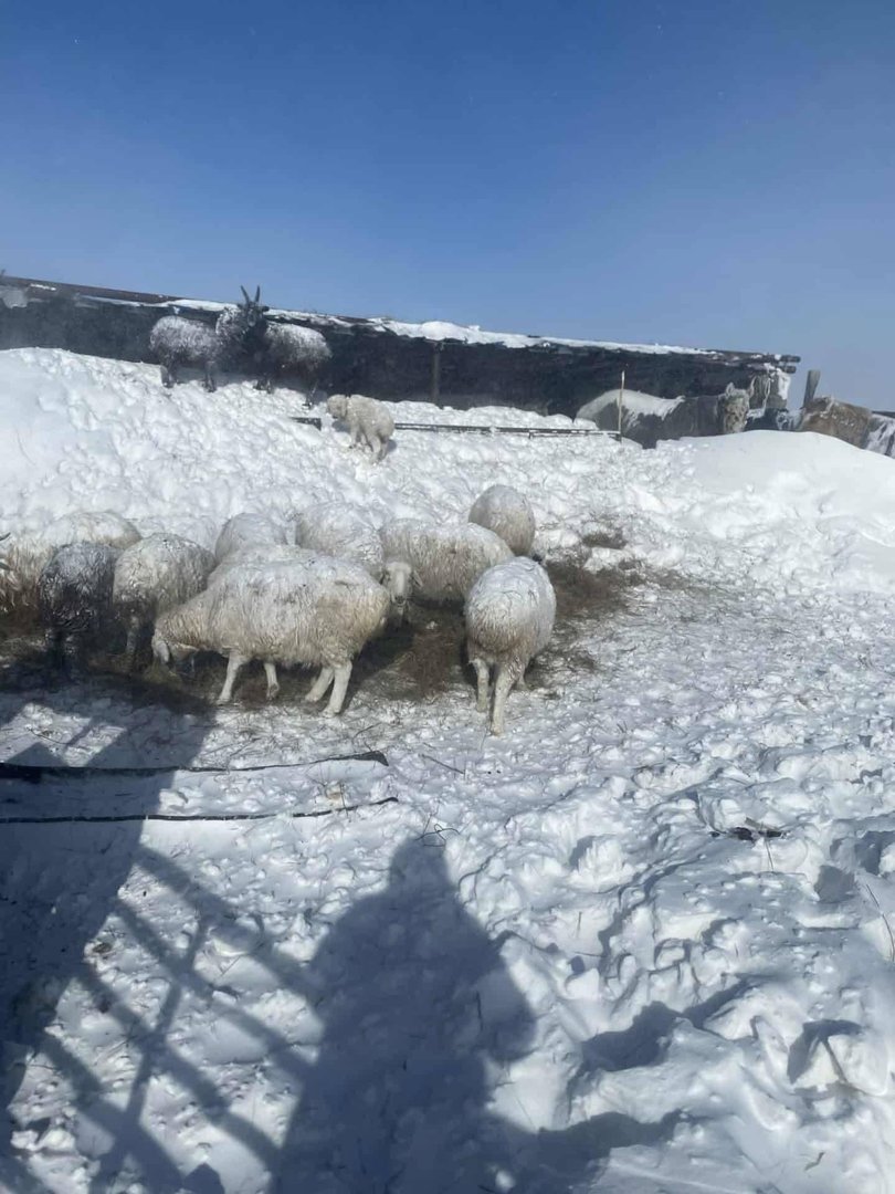 641367970 1425803005586847 4557177141846659438 N