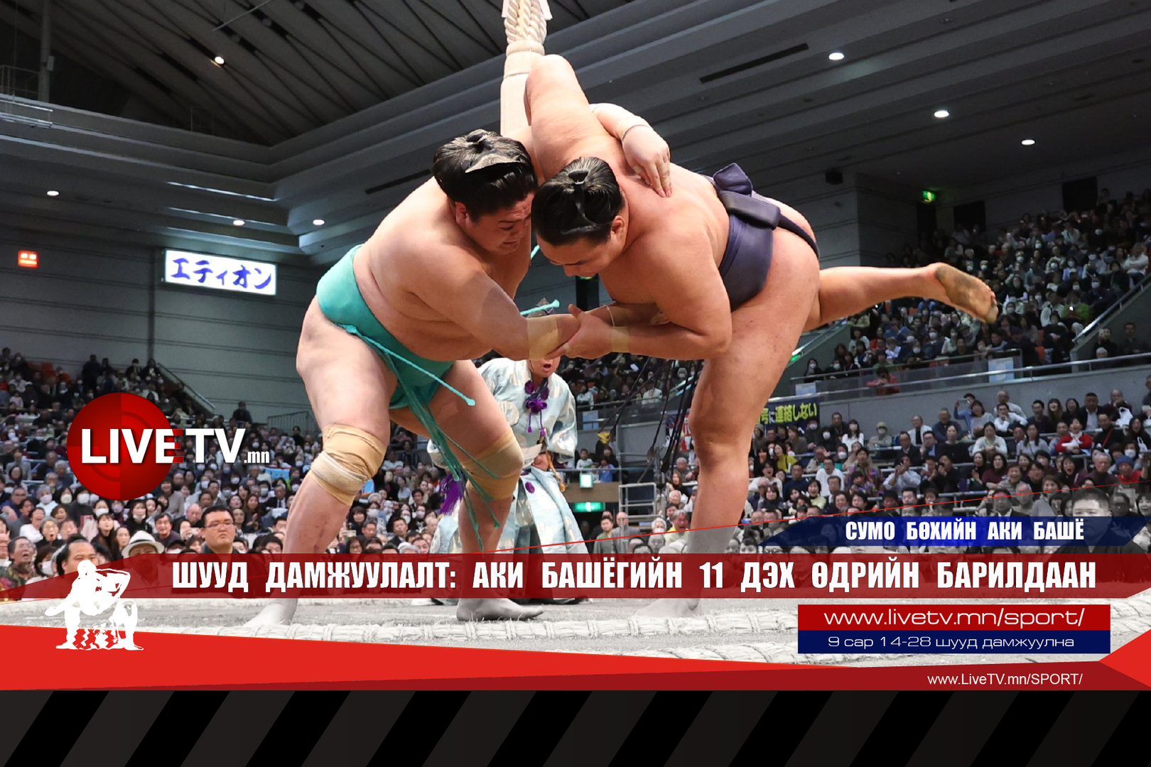 13456f20439b478fb8b01bea1dff8cdc