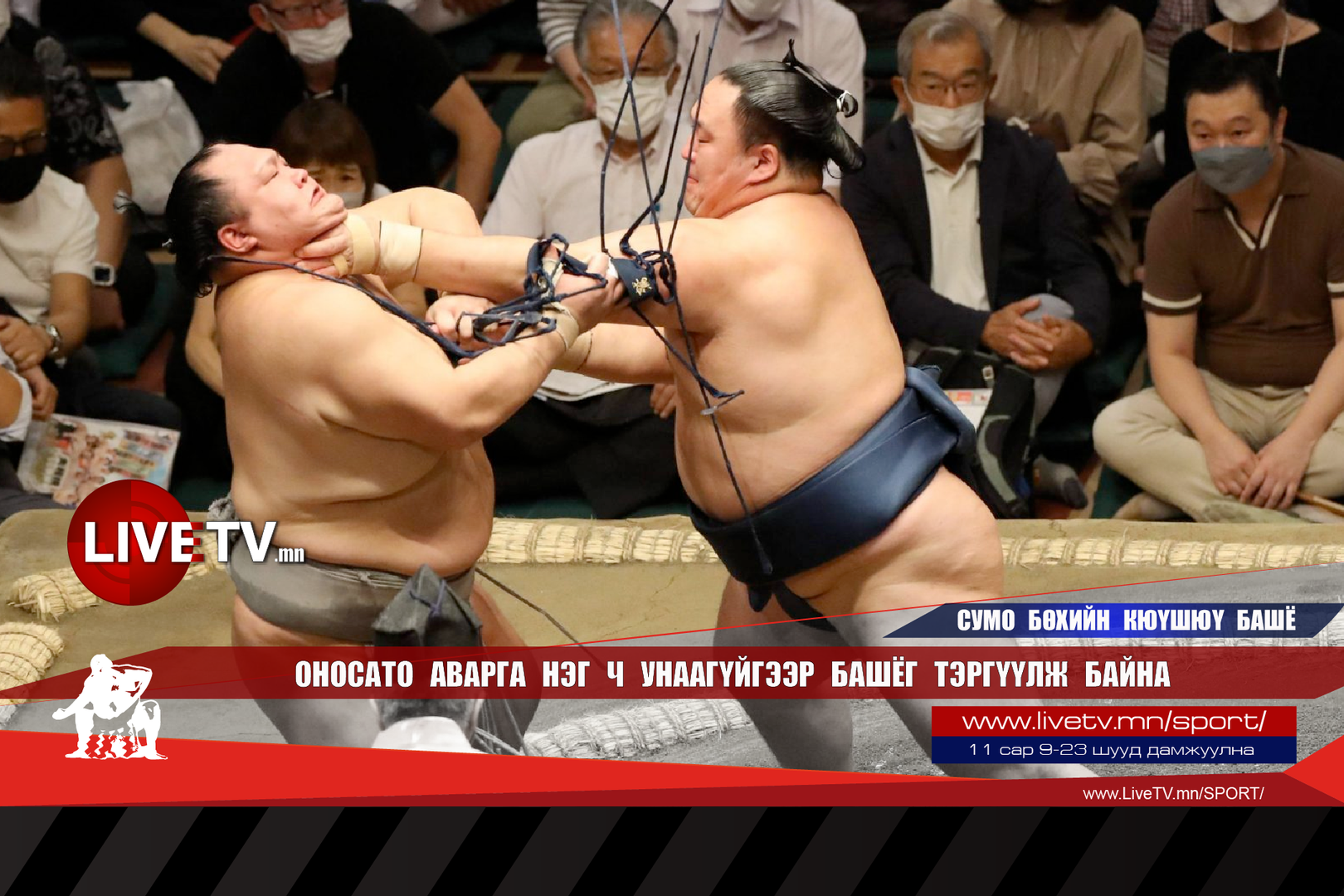 3cbb44ef4df44b2a81cc12212f0655a9