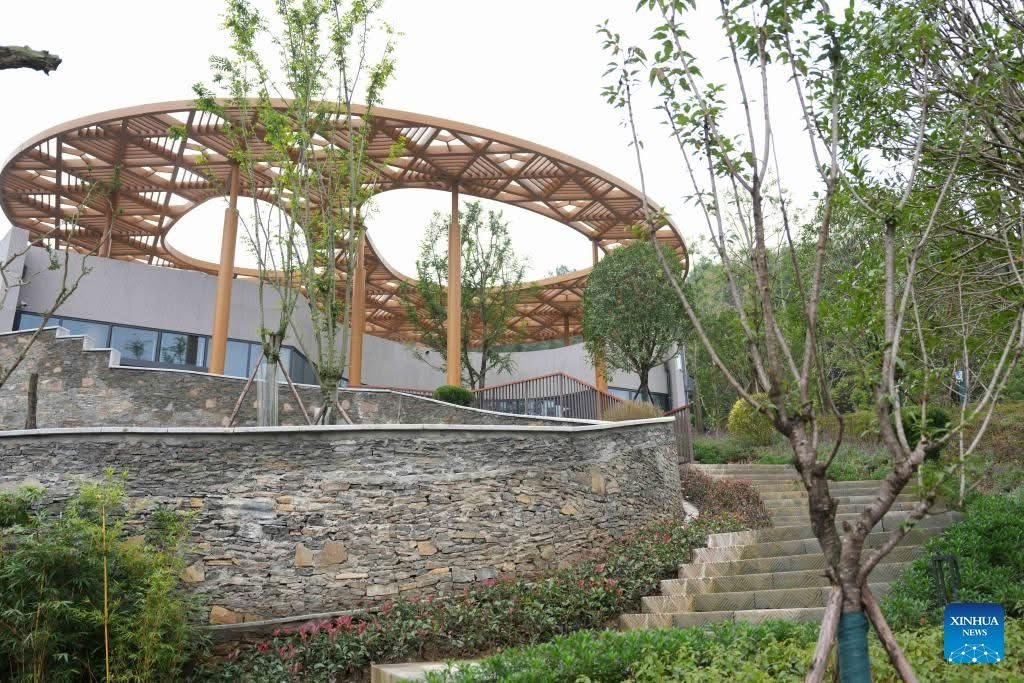 4235f049f8a94413a3710648bb5208a7