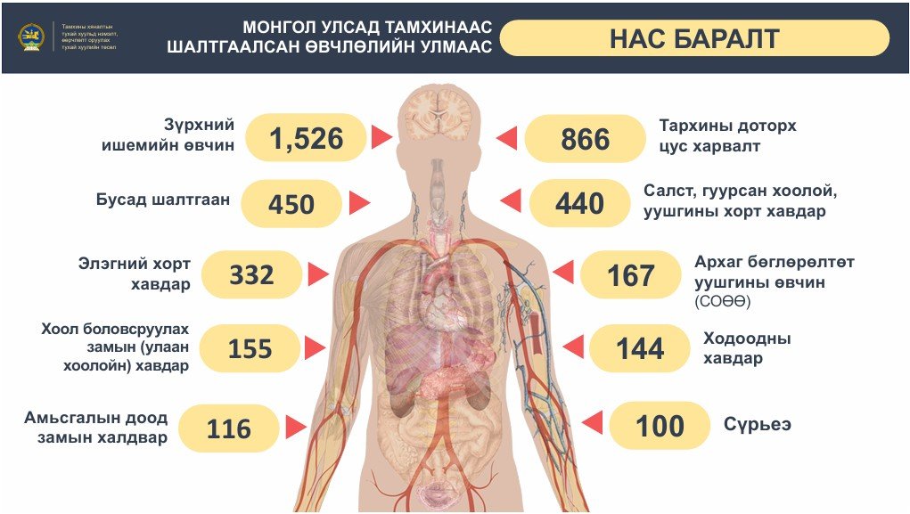 b2d8b78d88de403e99a69bf445fa29a5