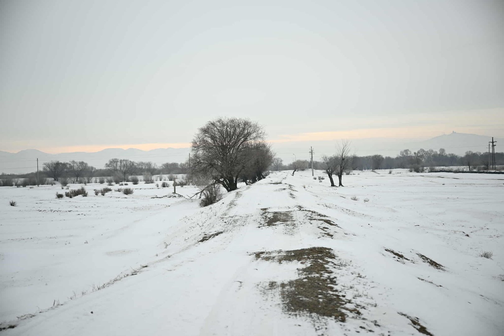 d238dbce92f048db8b954c4544641894