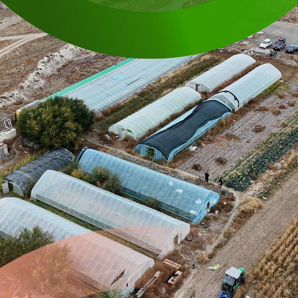 1c81a4d4add74b4297e1b891326bd2ff