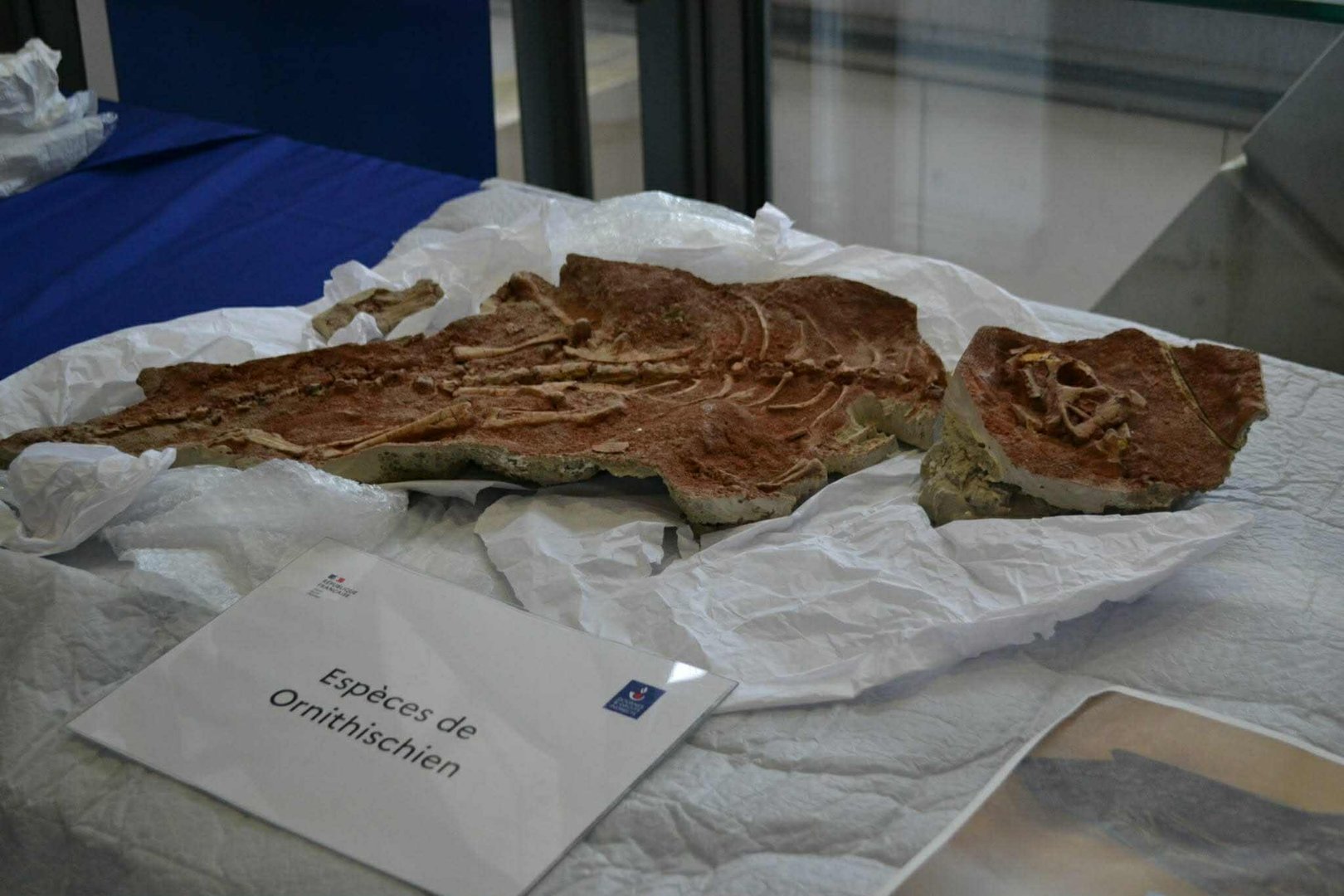 6549c3003a344d559f91ed3143fab676