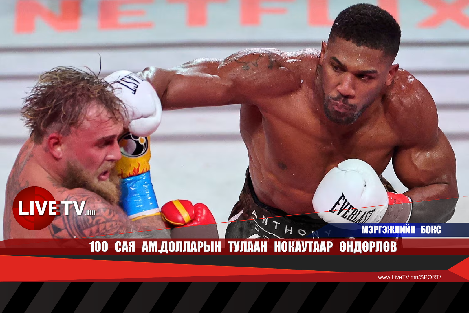 8ce1549e1a574a2e874f5ce7b711e45b