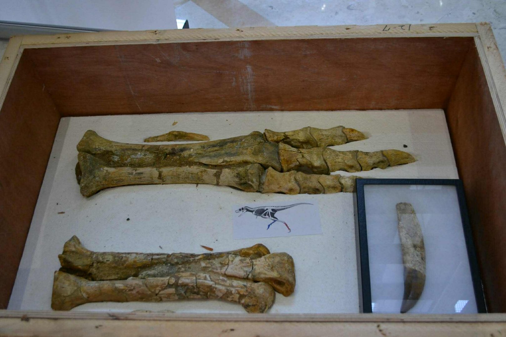 e775455531bc40bd85fbfb98e0cbd4ed