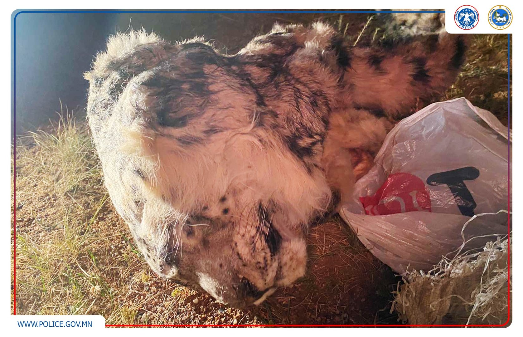 0c243ef4e7854206beb86520f0092494