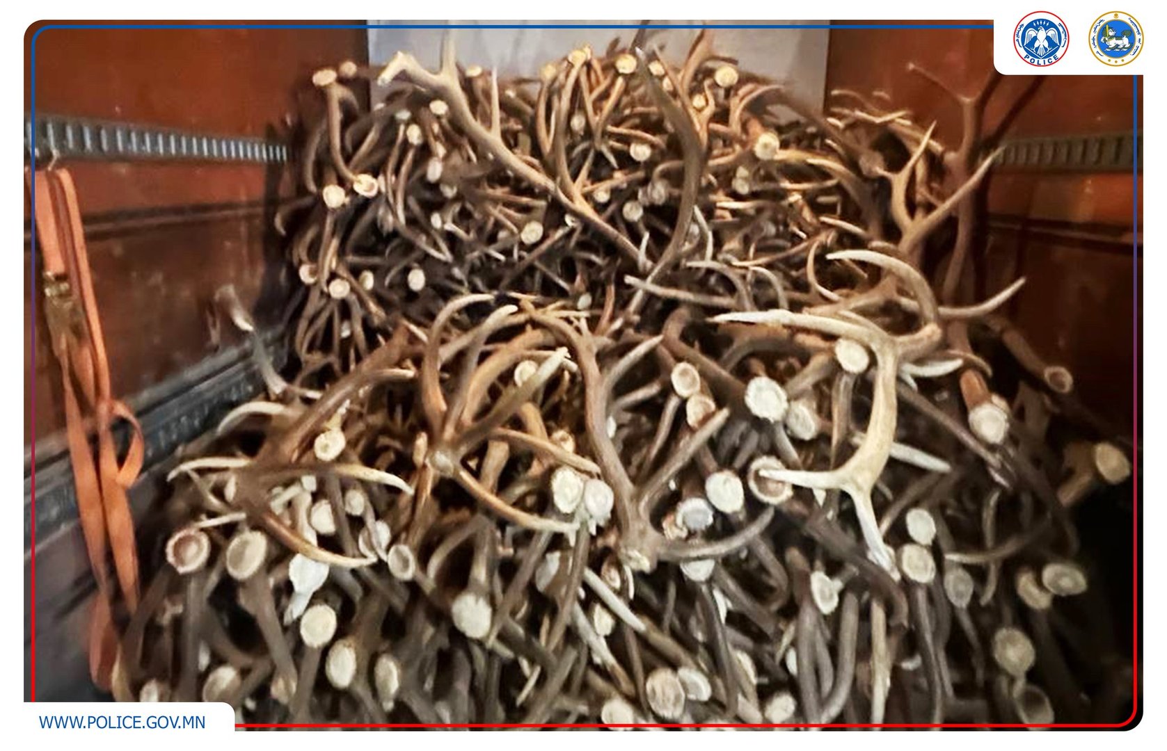 5e8149301ecc444da512f1a42e8b53fd