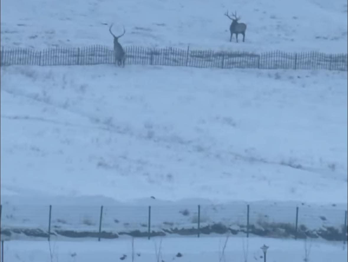 eb0fc8a2dbbd4df2a9ac57d4c694b4f3