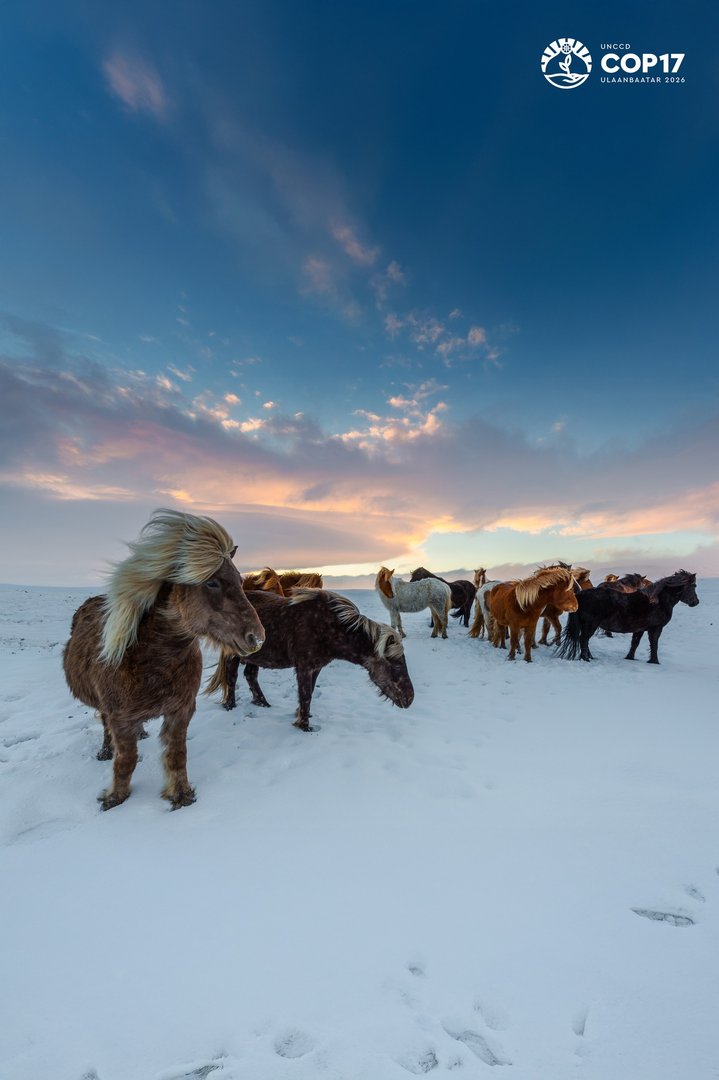 cbf0cc9e56bf4081bb5e58f073fb9f0c