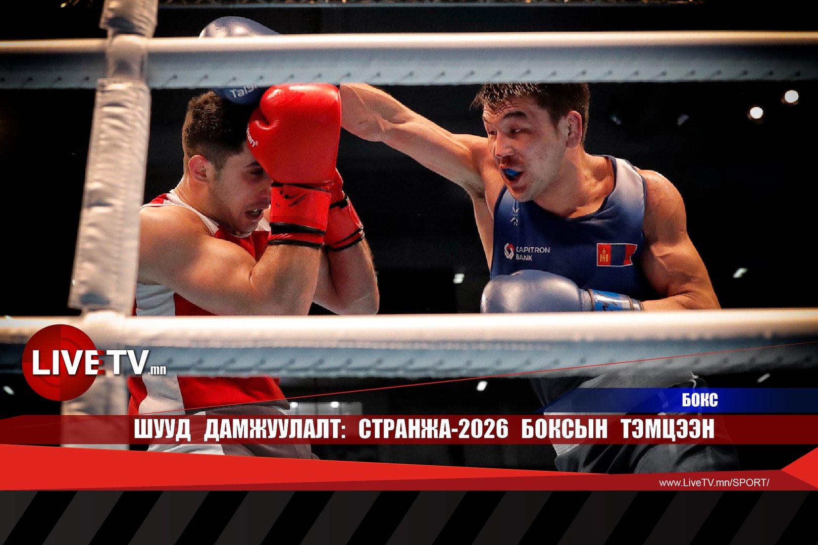 e3c16a425c7a4abca795c85affd5880b