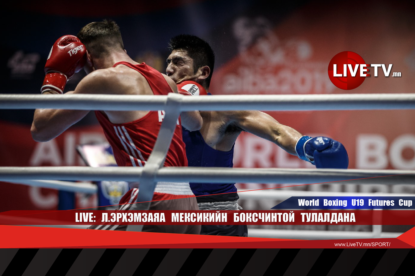 40add6313dae439cb66f08a37127ce19