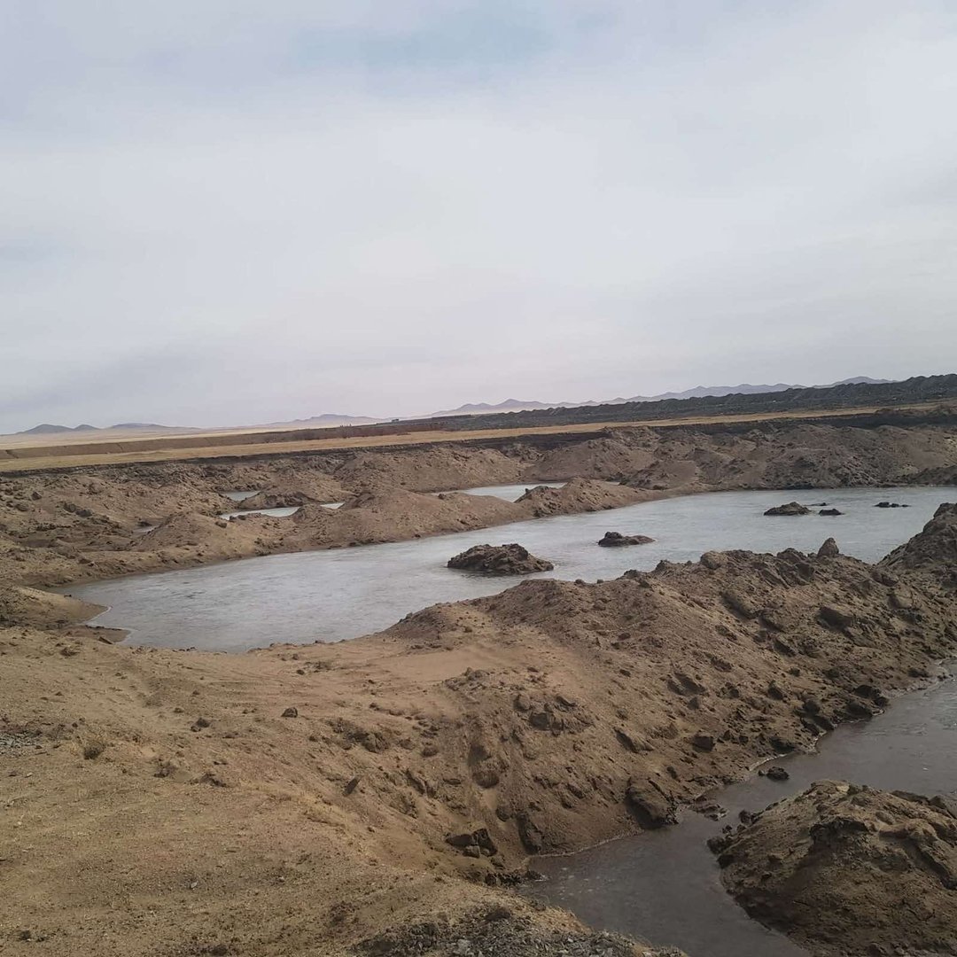 356c69db2a2d442cbc76ed0a19cbbafe