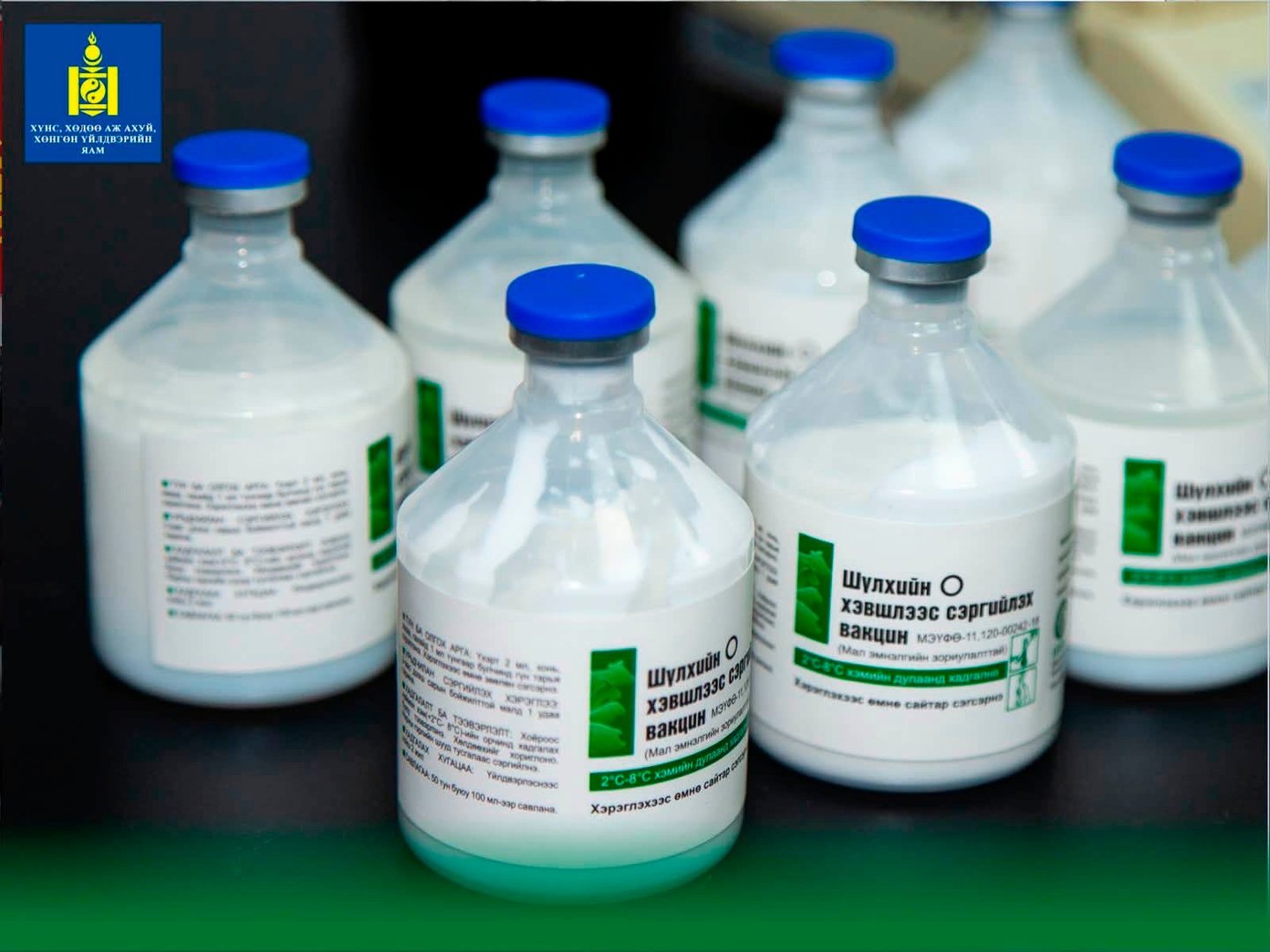 6e5b6aab73c44400bc5bbef50c31feac