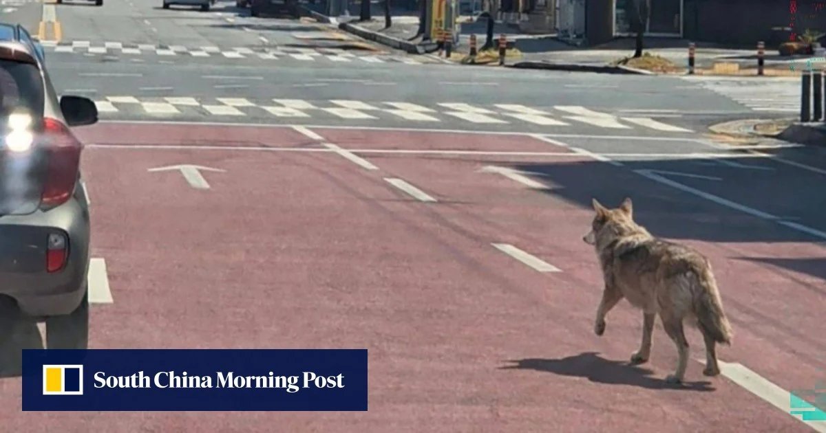 ed0951e510d84781917f66caae80bba7